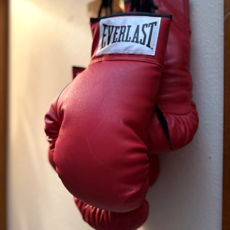 Red boxing gloves hanging on the wall